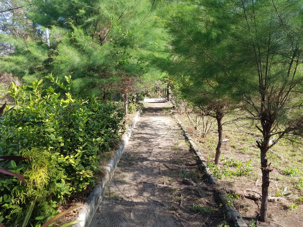 Sasak Island Bungalows Gili Meno Bagian luar foto